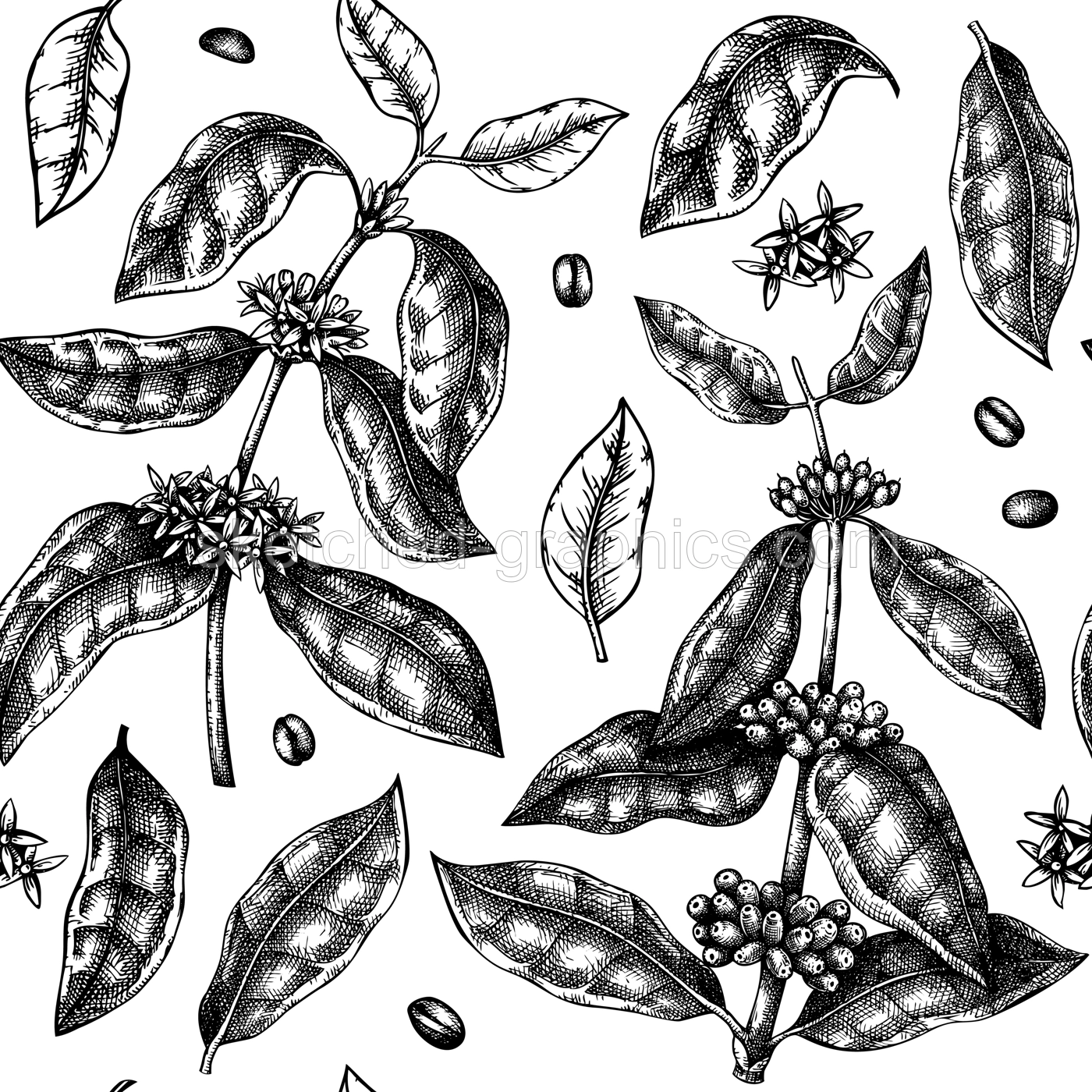 Hand sketched coffee plant seamless pattern. Vector background with hand drawn leaves, flowers, beans and fruits illustrations. For packaging, wrapping paper, brands, fabrics. Illustration